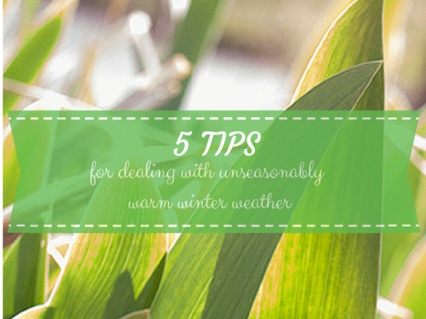 5 tips for gardeners