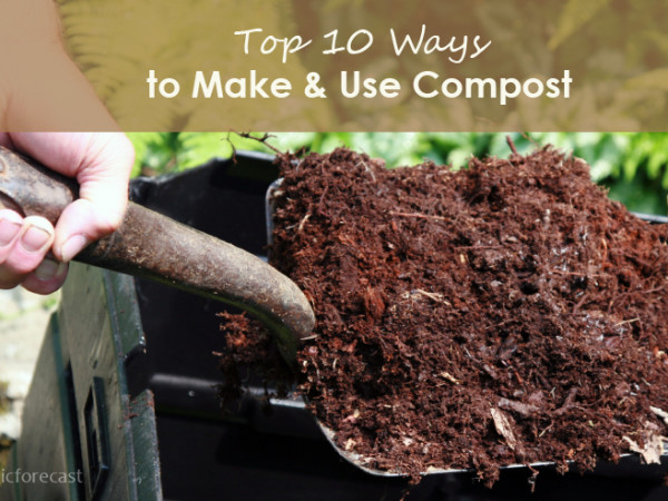 top 10 composting tips