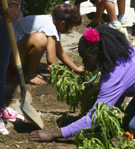 kids planting garden