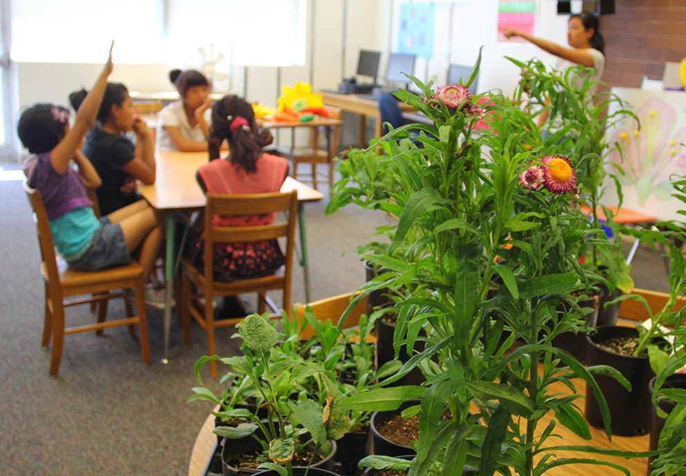 Kids learning gardening basics