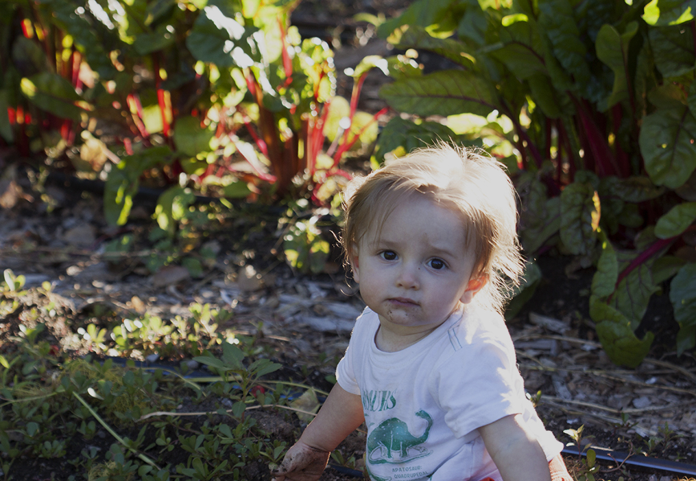 Baby in the Garden