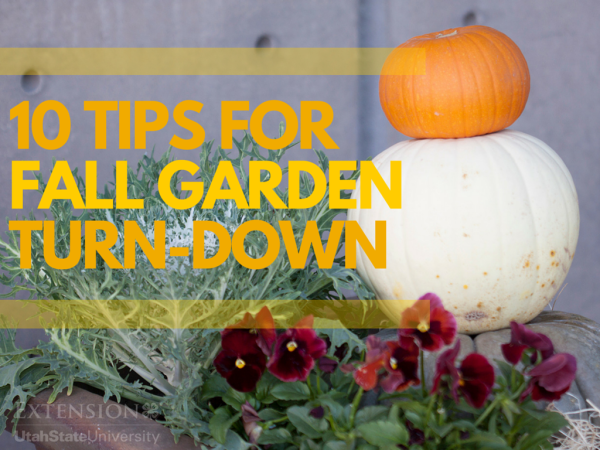 10 Tips for Fall Garden Turn-Down