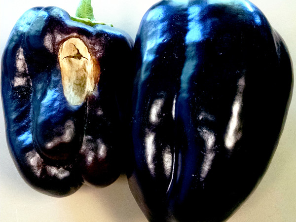 pepper with sunscald next to pepper without it