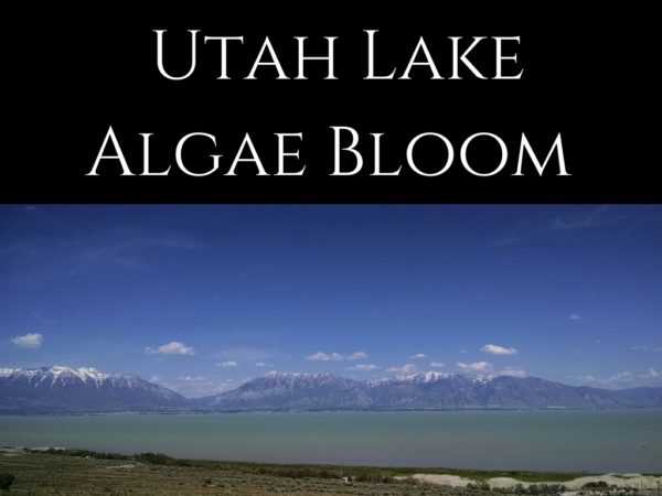 Picture of Utah Lake