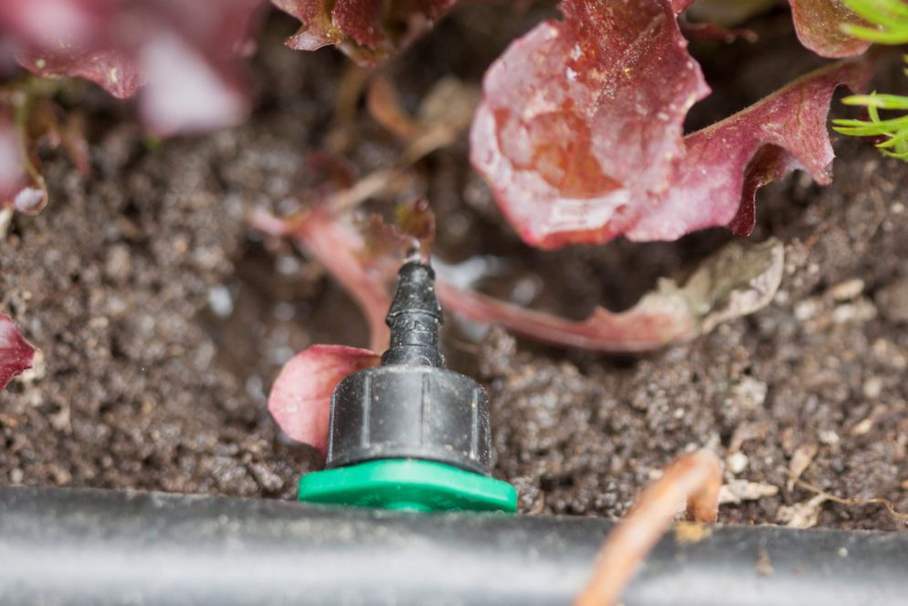 drip irrigation in garden